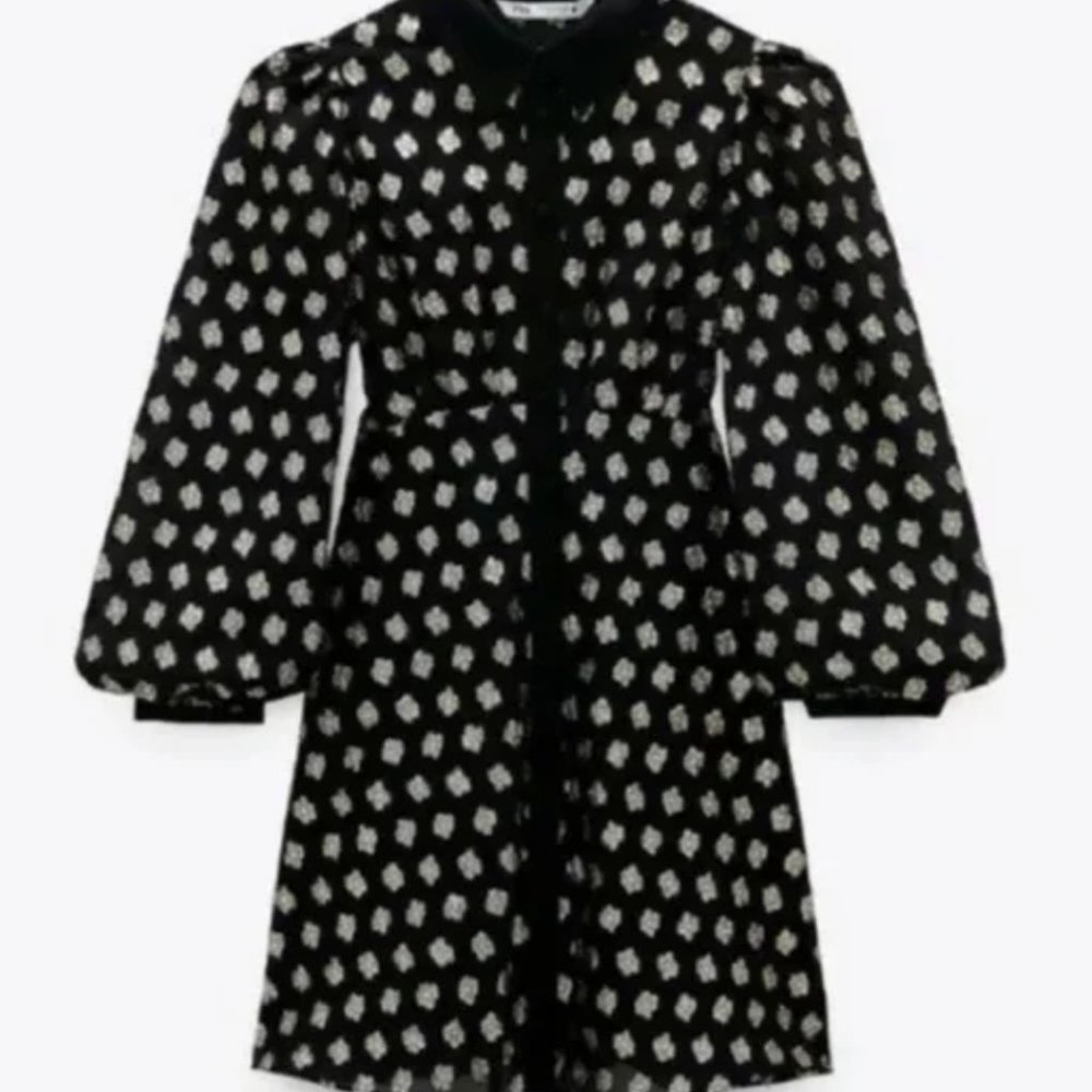 Zara metallic thread shirt dress